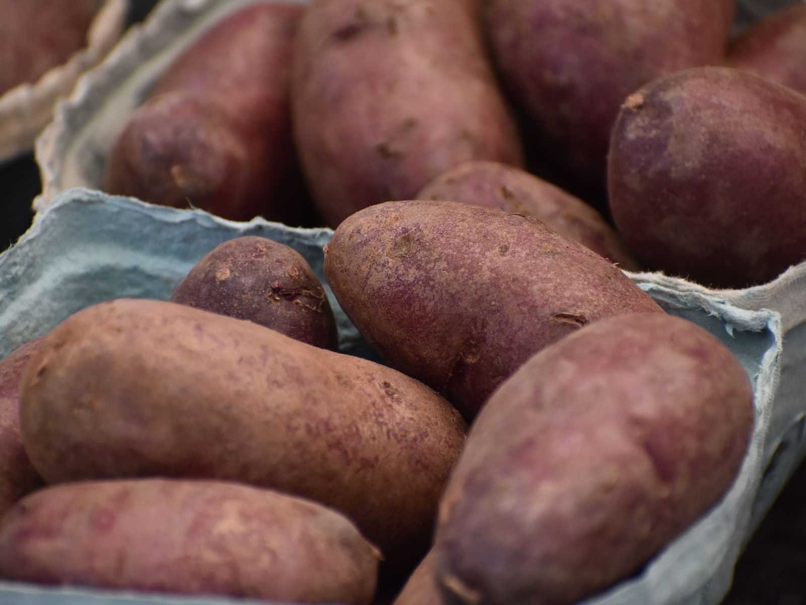 Patate douce