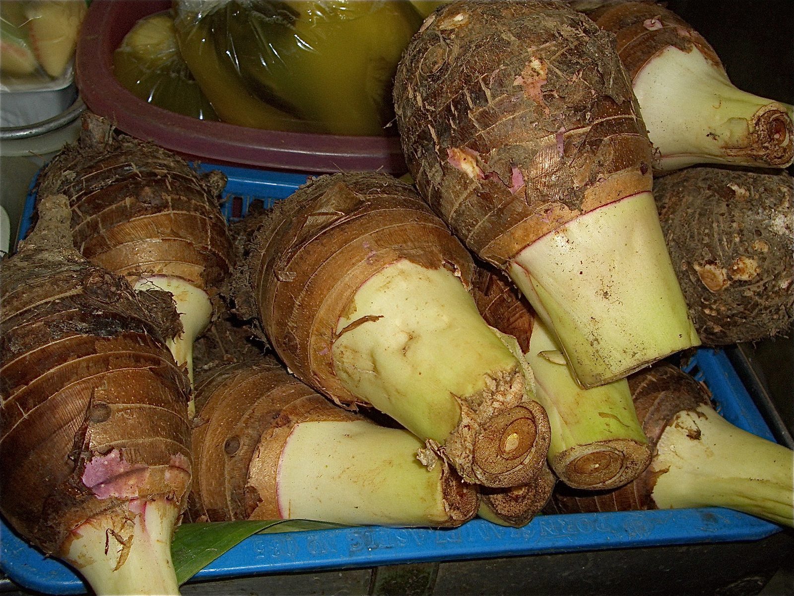 Taro